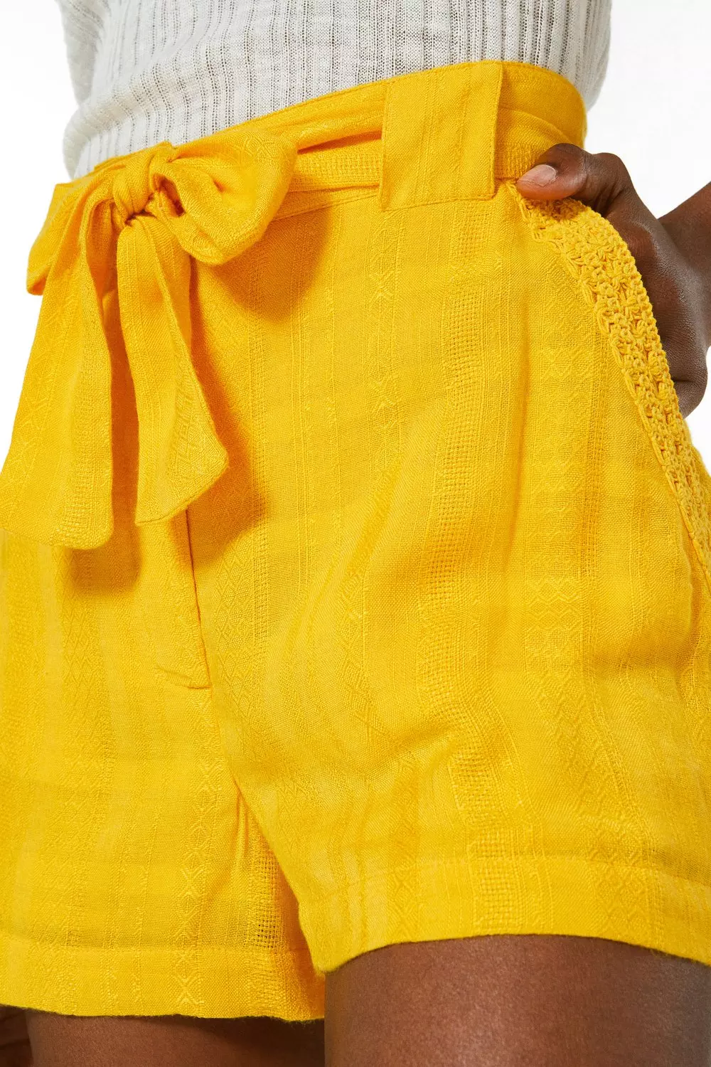 Gold Embroidery Detail High Waisted Woven Shorts alternative image