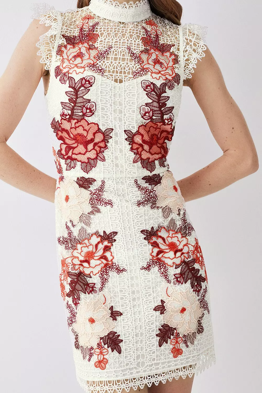 Embroidered lace mini dress karen millen best sale