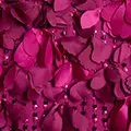 purple color