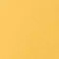 mango color