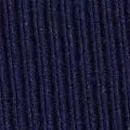 navy color