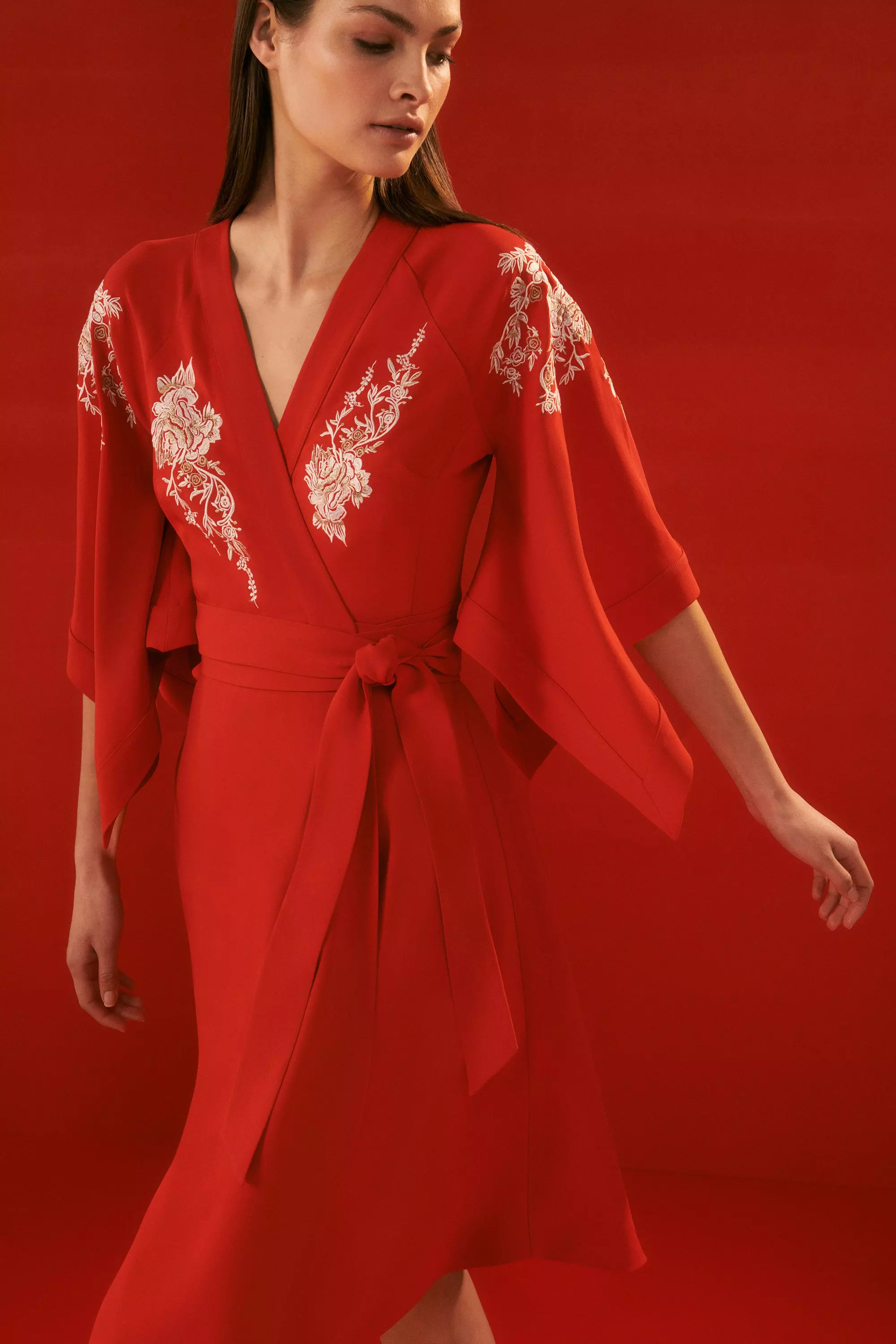 Embroidered kimono dress hotsell