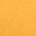 mango color
