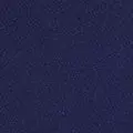 navy color