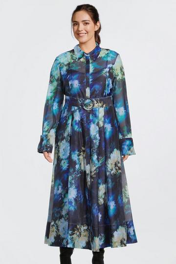 Blue Plus Size Floral Organdie Long Sleeve Woven Maxi Dress