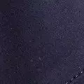navy color