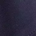 navy color