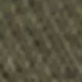 olive color