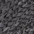 black color