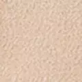 camel color