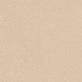 beige color