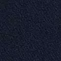 navy color