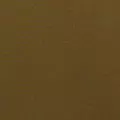 khaki color