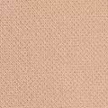 camel color
