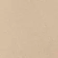beige color