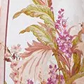floral color
