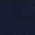 navy color