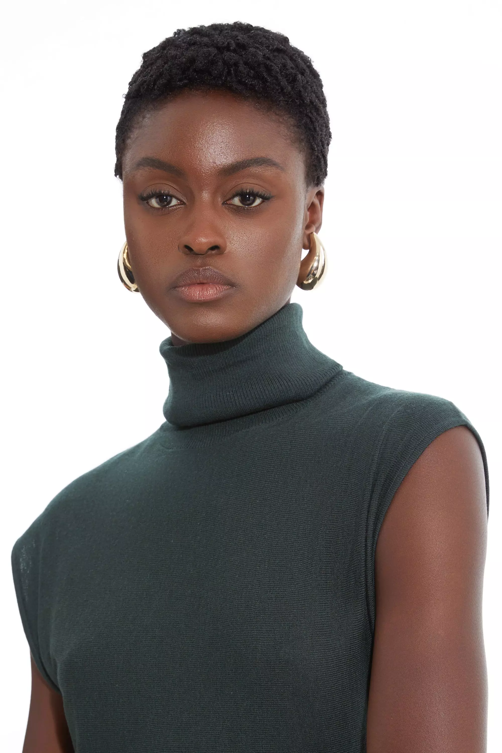 Olive Petite Cashmere Blend Sleeveless Turtleneck Midaxi Knit Dress alternative image