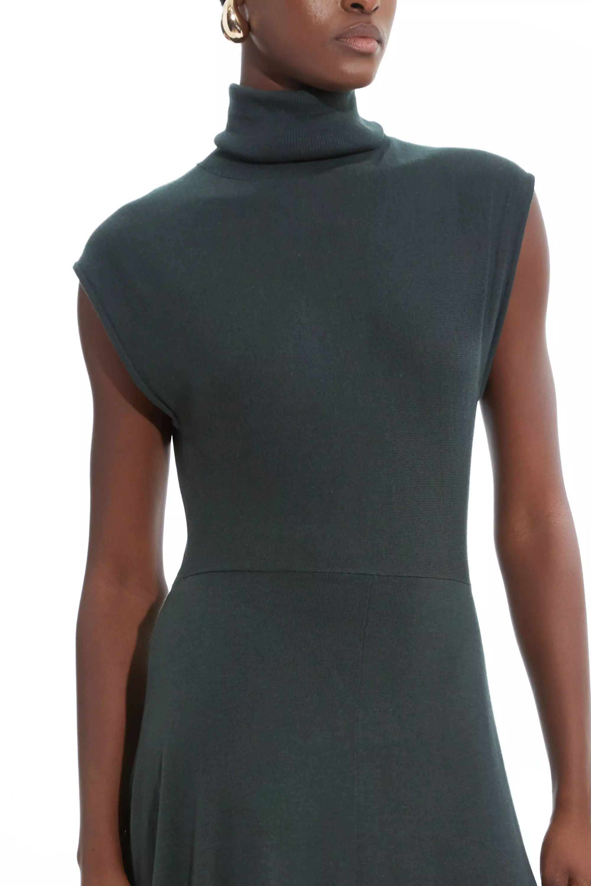 Olive Petite Cashmere Blend Sleeveless Turtleneck Midaxi Knit Dress alternative image
