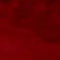 burgundy color