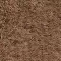 neutral color