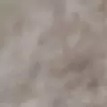 oatmeal color