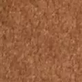 camel color