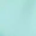 mint color