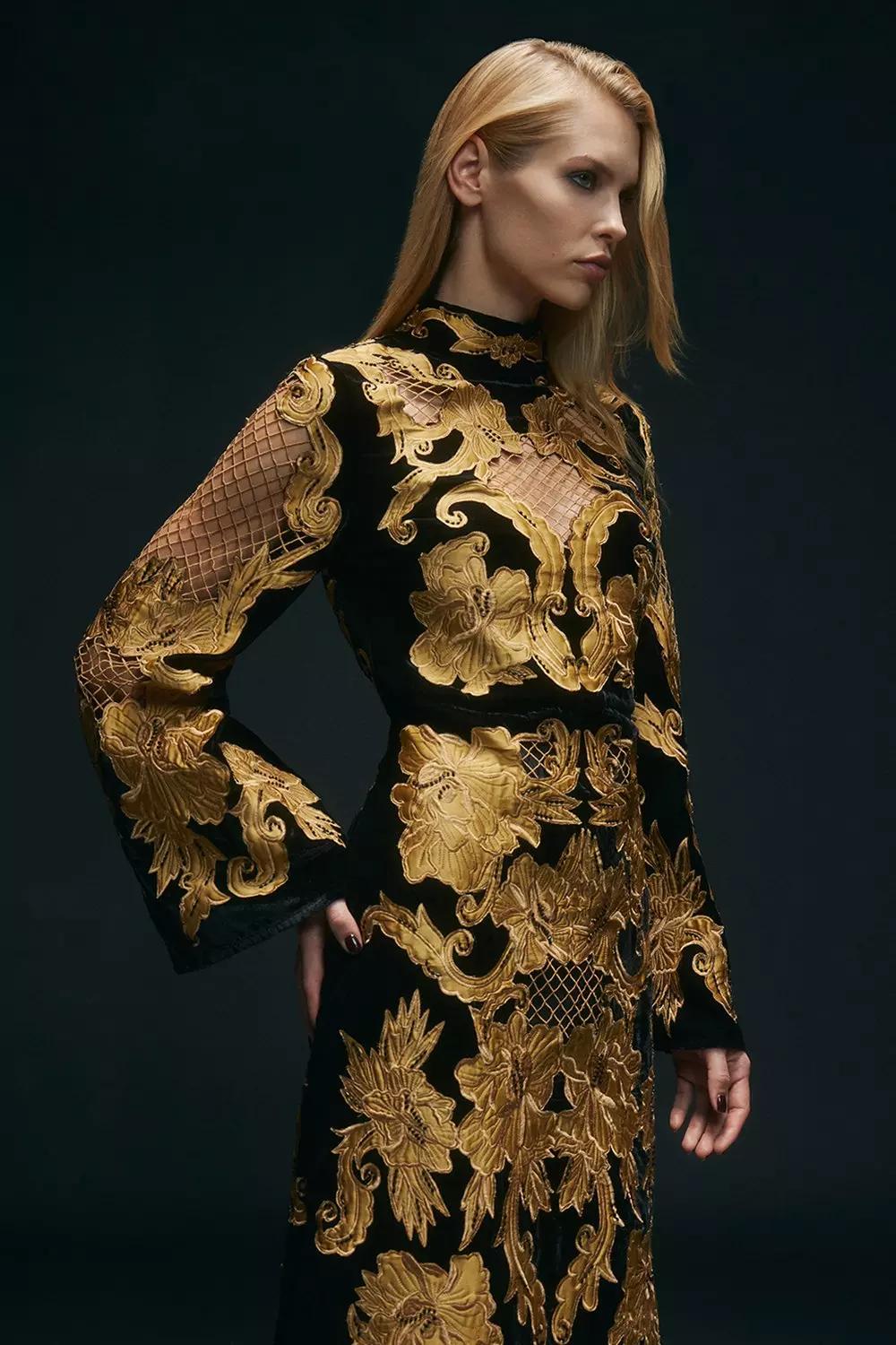 Black Velvet Applique & Beaded Woven Column Midi Dress alternative image