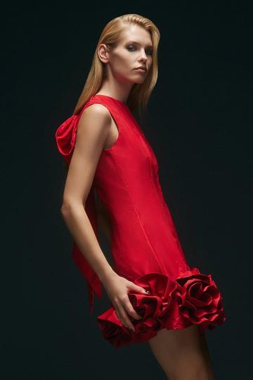 Red Drama Taffeta Rosette Woven Mini Dress With Bow Detail