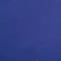 navy color