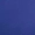 navy color