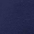 navy color