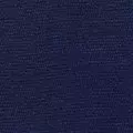 navy color