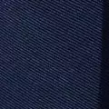navy color