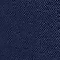 navy color