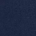 navy color