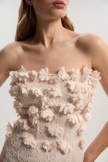 Applique Lace Corset Woven Mini Dress natural