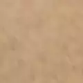 camel color
