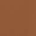 camel color