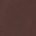 chocolate color