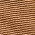 camel color
