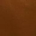 camel color