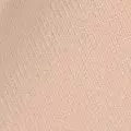 camel color