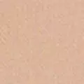 camel color