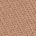 camel color