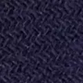 navy color