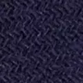 navy color