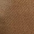 camel color