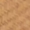 camel color